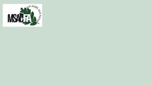 light green background with logo in top corner